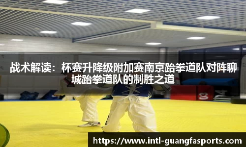 战术解读：杯赛升降级附加赛南京跆拳道队对阵聊城跆拳道队的制胜之道